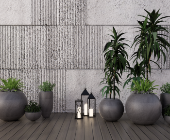 Modern Ground Green Plant Potted Plants-ID:119077922