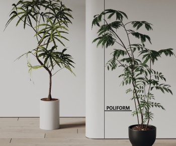 Modern Ground Green Plant Potted Plants-ID:775644062