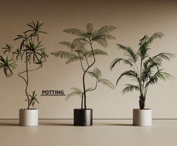 Modern Ground Green Plant Potted Plants-ID:374021056