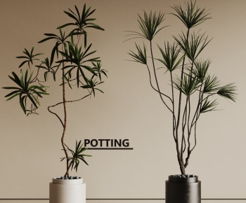 Modern Ground Green Plant Potted Plants-ID:775688895