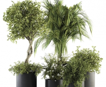 Modern Potted Green Plant-ID:760353095