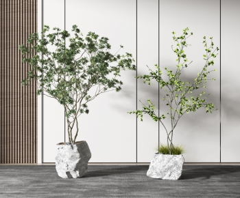 Modern Ground Green Plant Potted Plants-ID:804968122