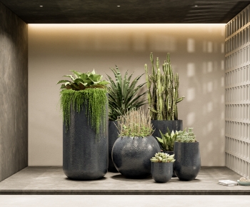 Modern Ground Green Plant Potted Plants-ID:560081021