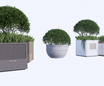 Modern Flower Bed, Flower Bowl, Flower Box-ID:576085099