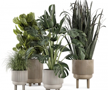 Modern Ground Green Plant Potted Plants-ID:779268038