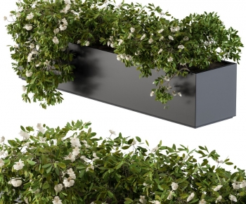 Modern Flower Bed, Flower Bowl, Flower Box-ID:346532114