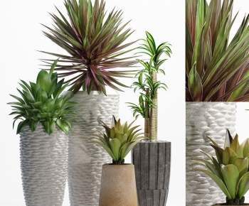 Modern Ground Green Plant Potted Plants-ID:958527092