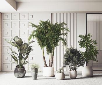 Modern Ground Green Plant Potted Plants-ID:142308953