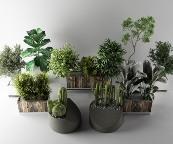 Modern Potted Green Plant-ID:135492094