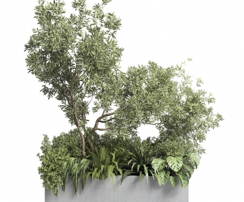 Modern Ground Green Plant Potted Plants-ID:421240094