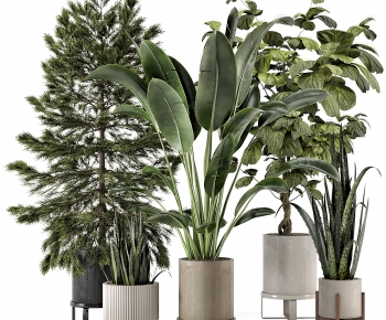 Modern Potted Green Plant-ID:940845977