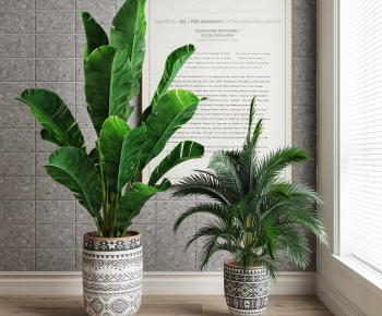 Modern Ground Green Plant Potted Plants-ID:479064941