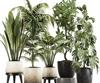 Modern Potted Green Plant-ID:775722985