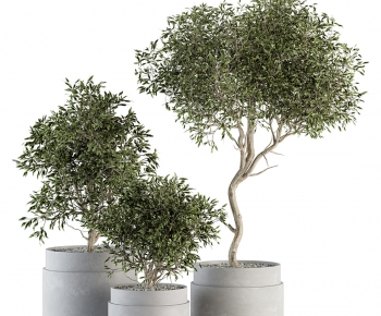 Modern Ground Green Plant Potted Plants-ID:941947948