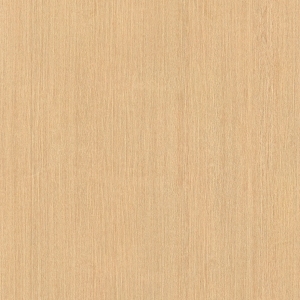 ModernWood Texture