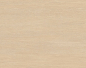 ModernWood Texture