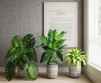 Modern Ground Green Plant Potted Plants-ID:910466919