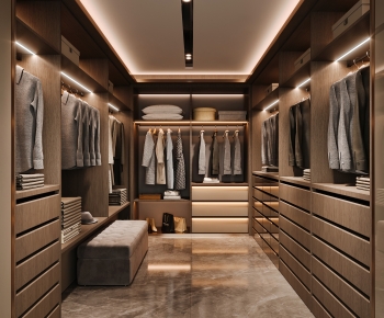 Modern Clothes Storage Area-ID:138051999