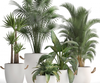 Modern Ground Green Plant Potted Plants-ID:565567979