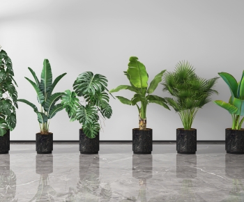 Modern Ground Green Plant Potted Plants-ID:350166089