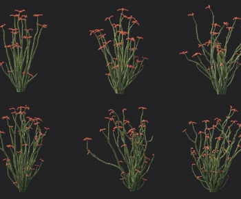 Modern Plant-ID:628104935