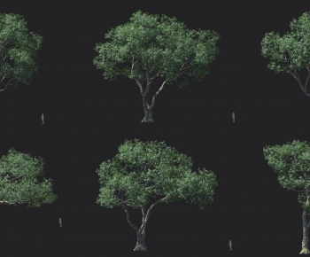 Modern Tree-ID:841583018