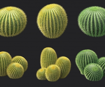 Modern Plant-ID:421293024