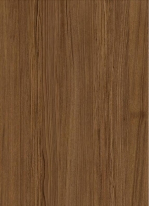 ModernWood Texture