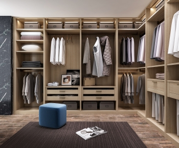 Modern Clothes Storage Area-ID:949089514