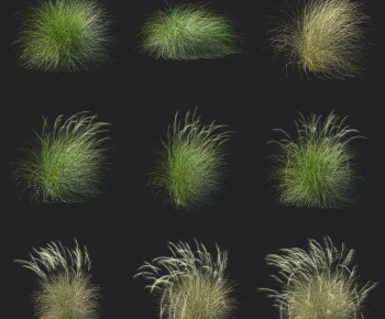 Modern The Grass-ID:511392125