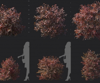 Modern Shrubbery-ID:550321109