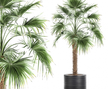 Modern Ground Green Plant Potted Plants-ID:123996027