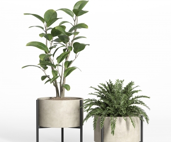 Modern Ground Green Plant Potted Plants-ID:924762011