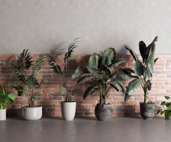 Modern Ground Green Plant Potted Plants-ID:228869954