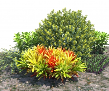 Modern Shrubbery-ID:857402094