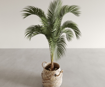 Modern Ground Green Plant Potted Plants-ID:175930985