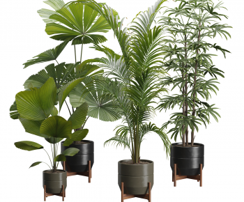 Modern Ground Green Plant Potted Plants-ID:212692022