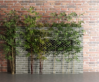 Modern Bamboo-ID:254915957