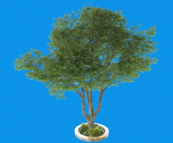 Modern Tree Pool-ID:263945108