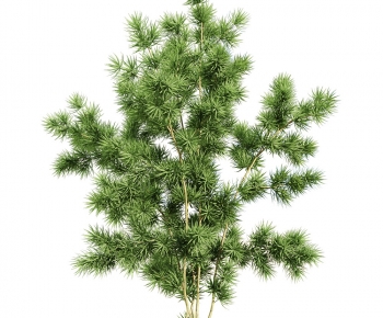 Modern Tree-ID:643899928