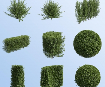 Modern Shrubbery-ID:727164984