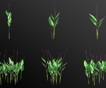 Modern Aquatic Green Plant-ID:886322023