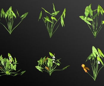 Modern Aquatic Green Plant-ID:206857923