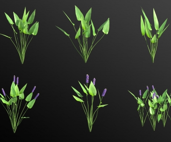 Modern Aquatic Green Plant-ID:198282964