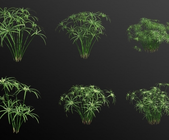 Modern Aquatic Green Plant-ID:273909091