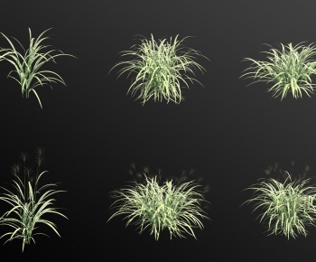 Modern Aquatic Green Plant-ID:479178913