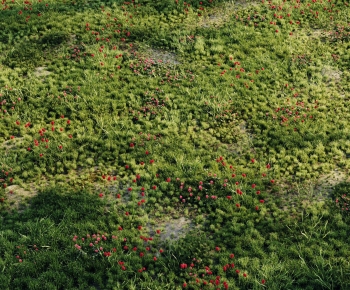 Modern Flowers And Grass-ID:433960072