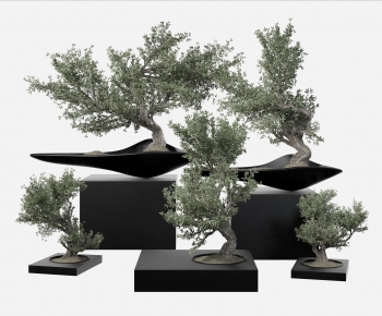 New Chinese Style Bonsai-ID:225074055