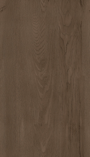 ModernWood Texture