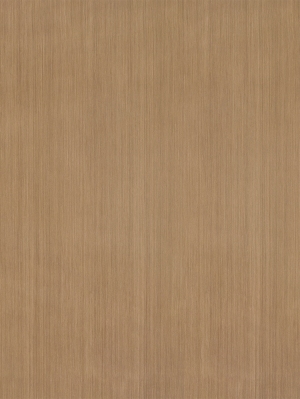 ModernWood Texture